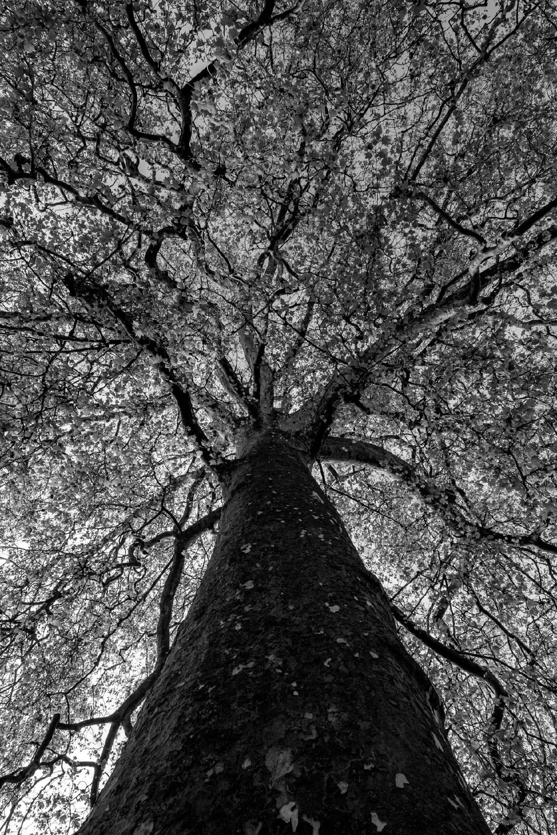 paul-winnen-natuur-20230506-03.jpg