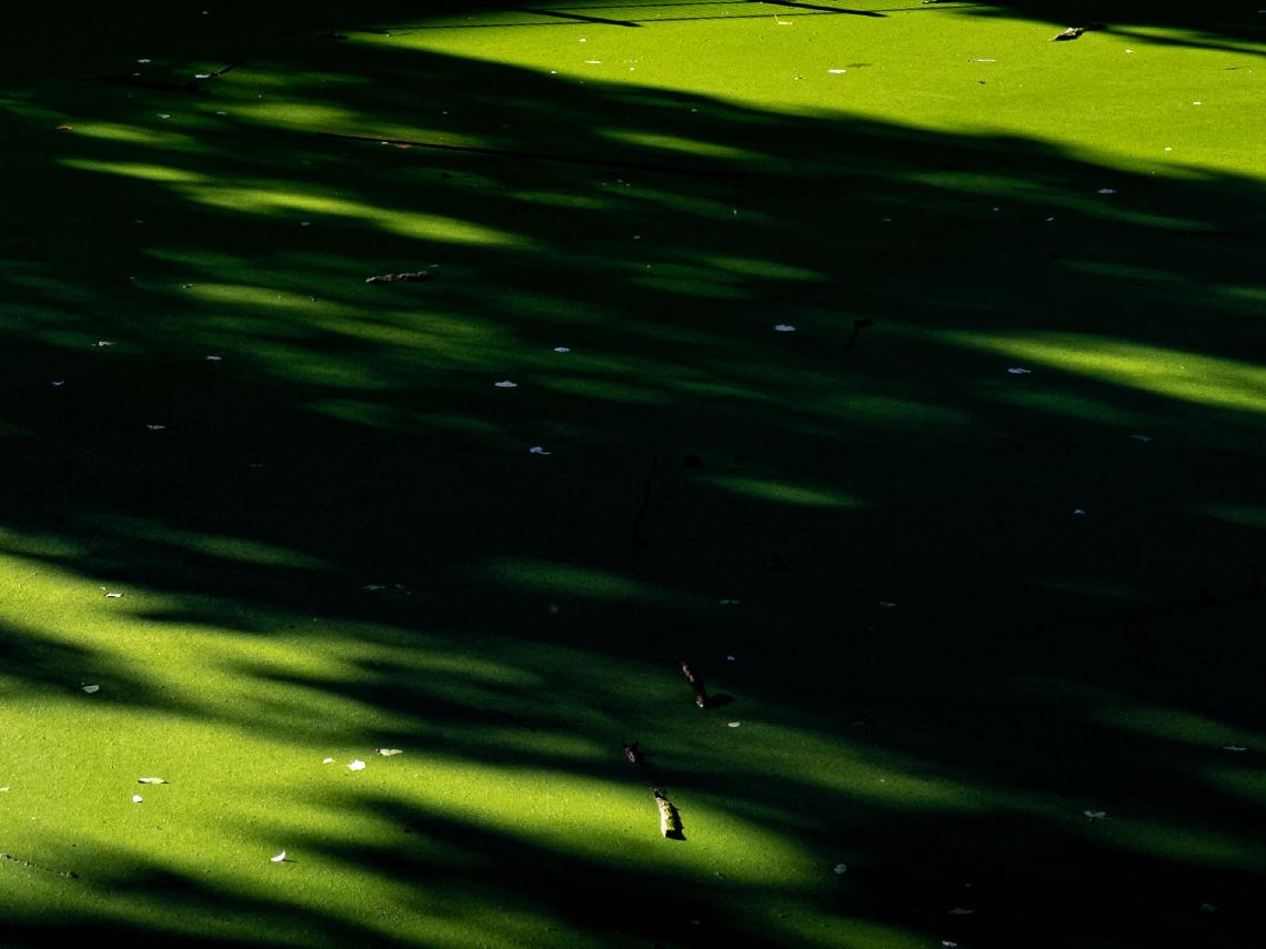 paul-winnen-photo-challenge-17-01-6-cover.jpg