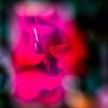 paul-winnen-photo-challenge-19-01-cover.jpg