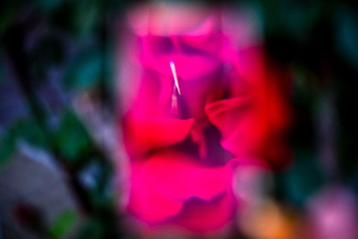 paul-winnen-photo-challenge-19-01-cover.jpg