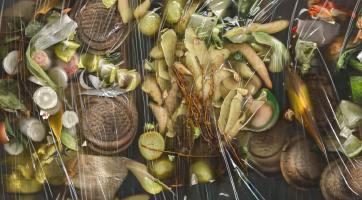 Ga naar Photo challenge 28 - Organisch